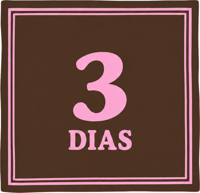 3 dias