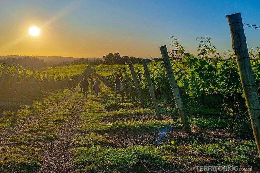 Pôr do sol na Serra